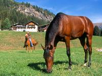 Reiten Sarntal