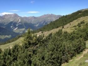 Nerdrer-Hof-Windlahn-Sdtirol
