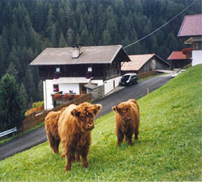 Untermarcher-Hof Sarntal-Sdtirol