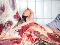 Qualitätsfleisch